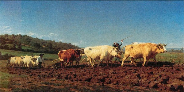 Rosa Bonheur, Labourage nivernais