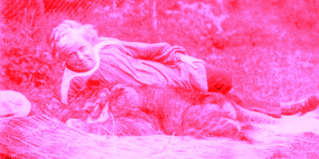 rosa bonheur