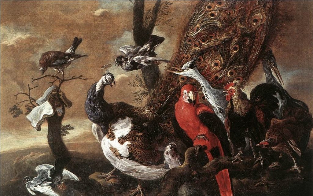 Jan Fyt, Concerto di uccelli, XVII sec., o/t, Anversa, Museum Nicolaas Rockox