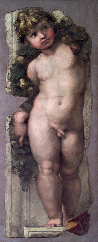 Accademia Nazionale di San Luca -  Putto reggifestone, Raffaello Sanzio (?)