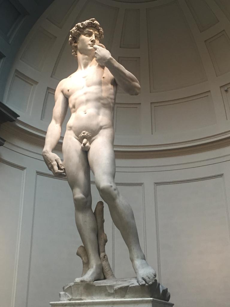 Il David di Michelangelo, Galleria dell'Accademia, Firenze.