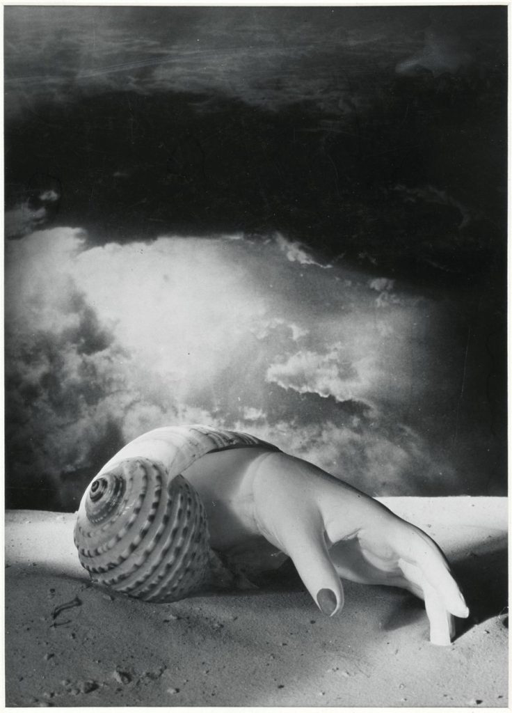 Dora Maar, Model’s Hand coming out of Shell, 1934, Francia, Parigi, Centre Pompidou