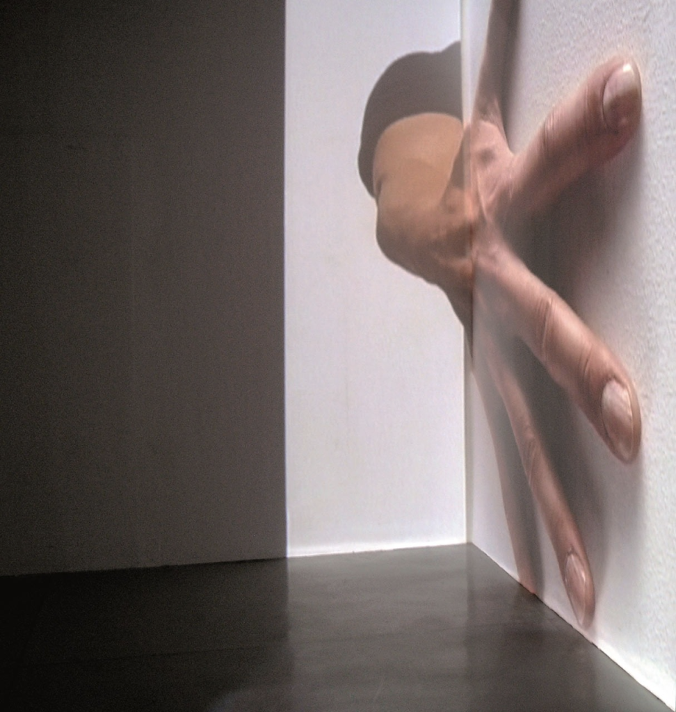 Videoarte di Daniele Puppi, Fatica n. 24, 2004, Collezione Privata