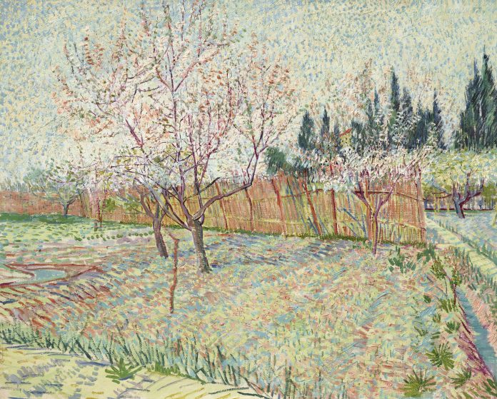 Vincent van Gogh, Verger avec cyprès, 1888 - $ 117,2 milioni