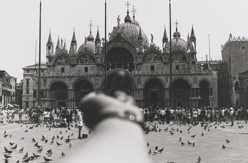 Ai Weiwei e il dito medio a Venezia