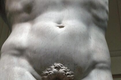 Dettaglio David di Michelangelo