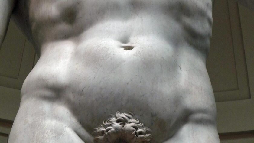 Dettaglio David di Michelangelo