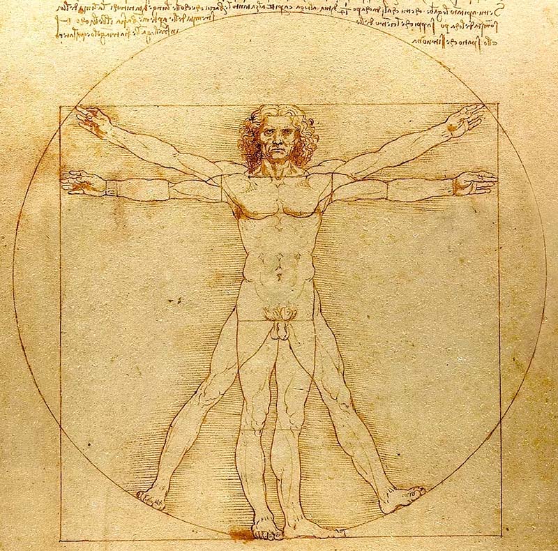 L'uomo Vitruviano, Leonardo da Vinci