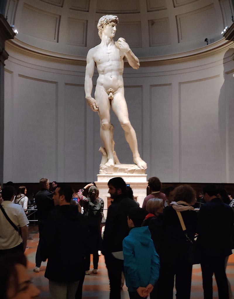 Il David di Michelangelo, Galleria dell'Accademia, Firenze
