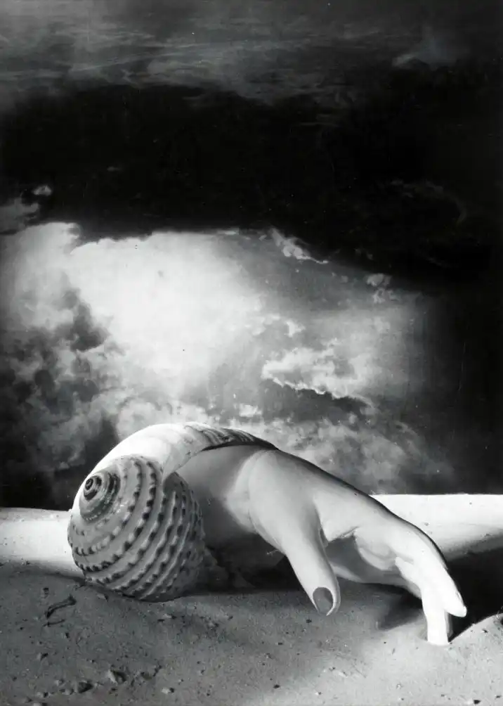 Dora Maar, Model’s Hand coming out of Shell, 1934