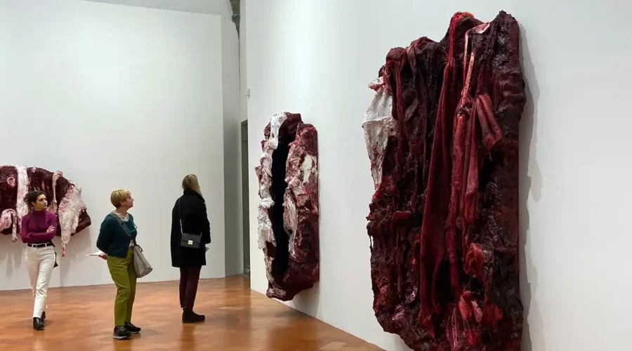 Anish Kapoor untrue unreal - Palazzo Strozzi Firenze