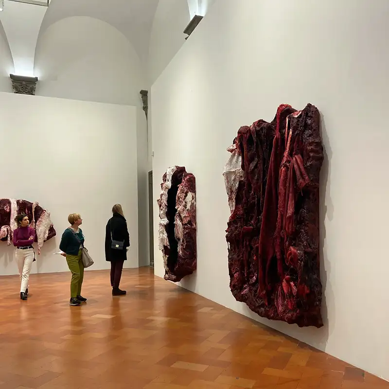 Anish Kapoor untrue unreal - Palazzo Strozzi Firenze