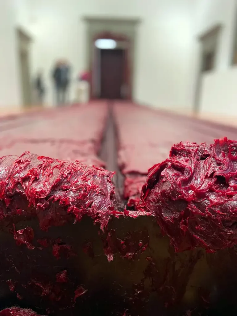 Anish Kapoor untrue unreal - Palazzo Strozzi Firenze