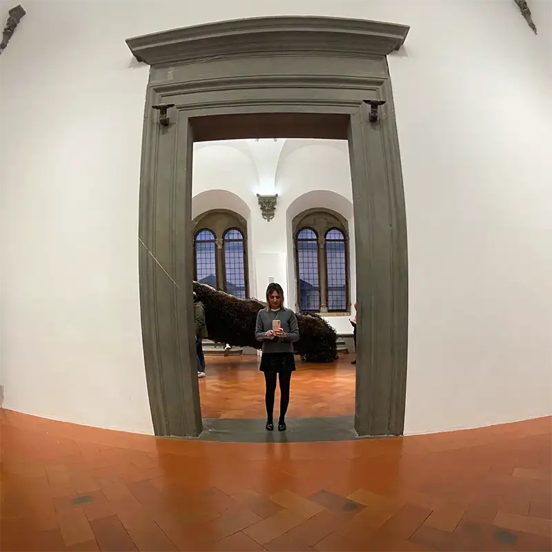 Anish Kapoor untrue unreal - Palazzo Strozzi Firenze